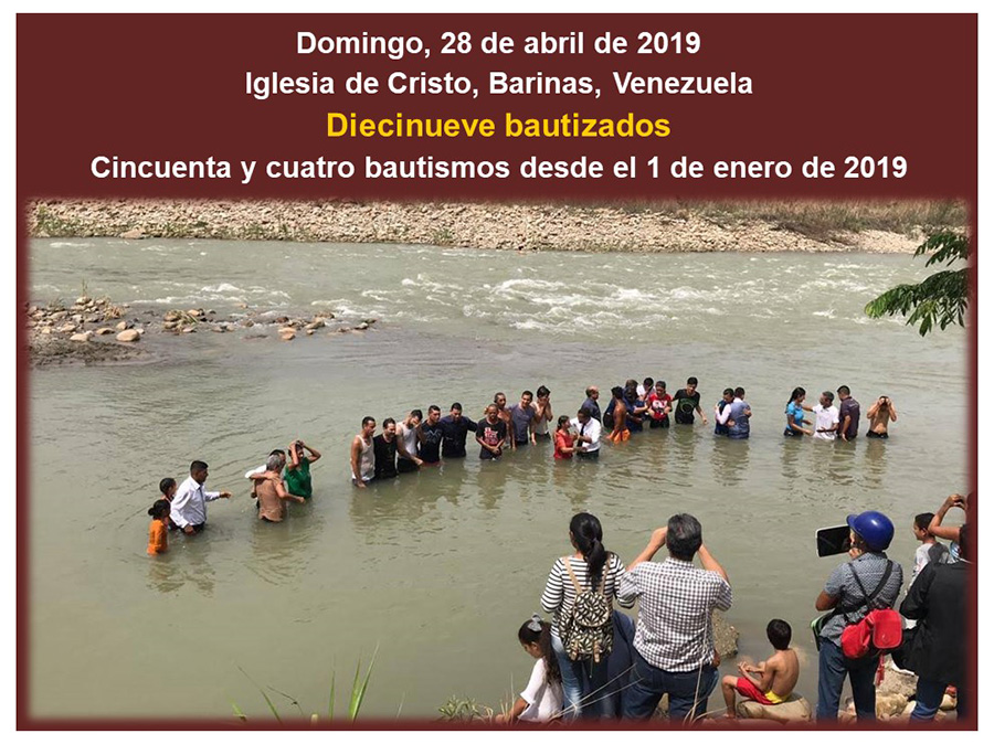 En Barinas, Venezuela, evangelistas y miembros de la Iglesia de Cristo bautizan a diecinueve personas el día 28 de abril de 2019.