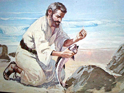 El apóstol Pedro saca un estatero de la boca de un pez sacado del mar de Galilea, para pagar con la moneda el impuesto por él y Jesús.