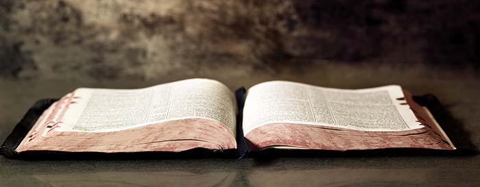 Esta Biblia abierta contra un fondo oscuro ilustra el tema Recibid al débil en la fe, en editoriallapaz.