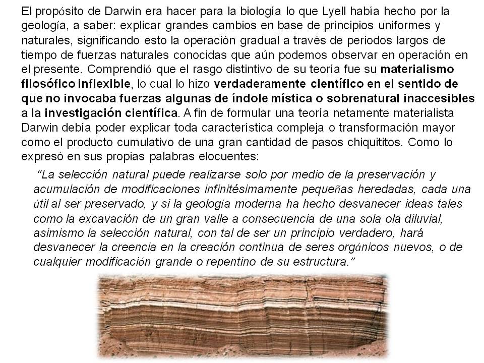Esta imagen (diapositiva), con la fotografía de estratos de sedimentación, es la cuarta para Mutaciones grandes y pequeñas, del Capítulo Tres del libro Darwin en el estrado.