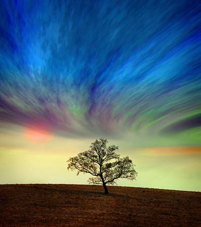 The surreal painting of a solitary tree with straited bluish-green heavens above illustrates Index F of subjects in Peace Publishers.