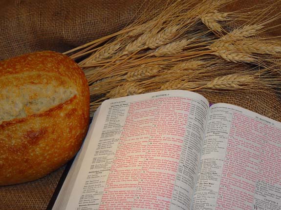 Una Biblia abierta, un pedazo de pan y espigas de trigo ilustran el estudio sobre Una sola copa en la cena del Señor, por Hugo McCord, en editoriallapaz.