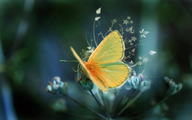 Una mariposa amarilla-verde-anaranjada infunde vida y belleza al Índice Y de temas bíblicos en editoriallapaz.org