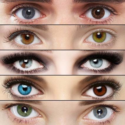 Ejemplos de mutaciones en los ojos del ser humano. Obsérvese atentamente las distintas coloraciones en los pares de ojos, habiendo variaciones aun entre el ojo izquierdo y el derecho de la misma persona.