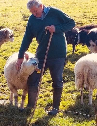 Foto de una oveja que inclina su cabeza sobre la pierna de un pastor parado que la acaricia con la mano.