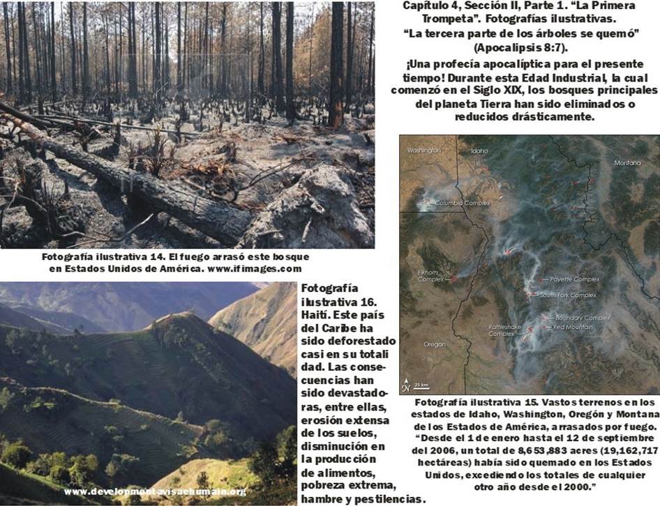 Fuegos forestales en Estados Unidos de América; deforestación casi total de Haití: collage de fotografías.><span style=