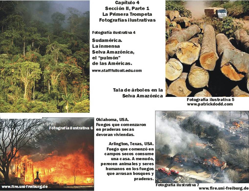 Fotografías de fuegos forestales, tala de árboles en gran escala y la Selva Amazónica para la Primera Trompeta de Apocalipsis.