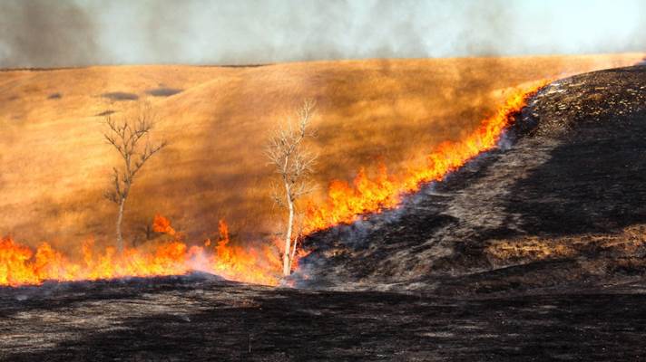 Fotografía de un fuego voraz que consume un pasto muy extenso, ilustración para un estudio sobre la Primera Trompeta de Apocalipsis.
