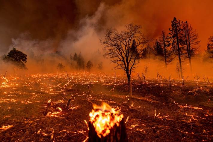 Fotografía de tremendo fuego forestal, ilustración para un estudio sobre la aplicación de la Primera Trompeta de Apocalipsis a la Edad Industrial.