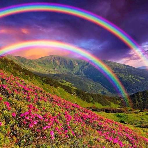 Photograph of a double rainbow over mountains and valleys with a field of flowers in the foreground.