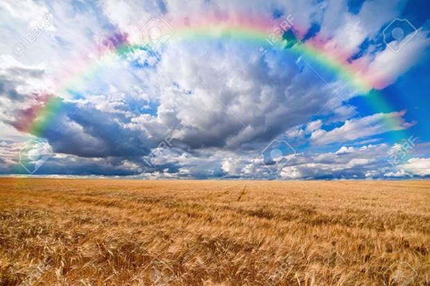 Fotografía de un arco iris sobre nubes blancas encima de un gran campo de trigo, para el tema El arco iris de Dios.