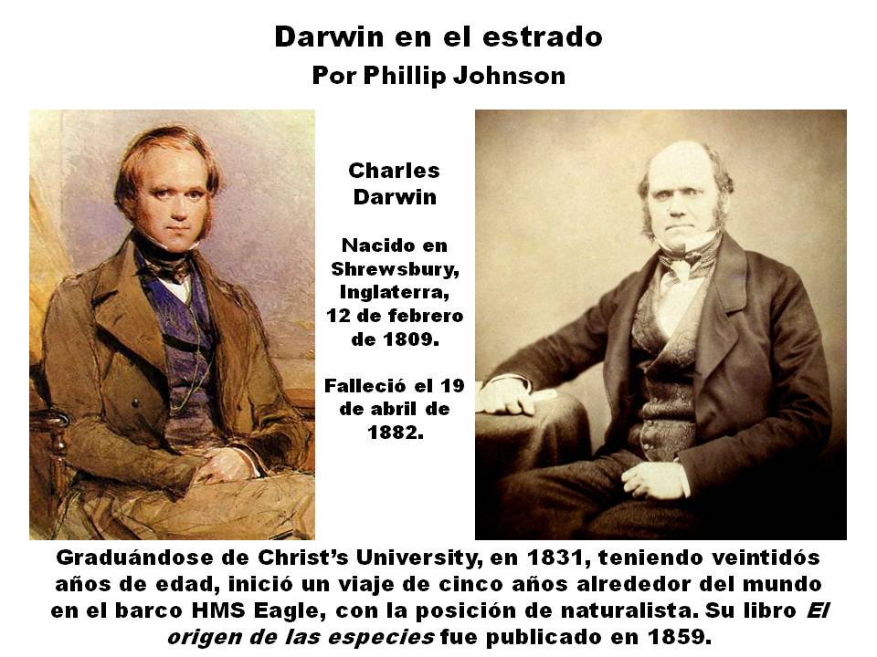 Imagen (diapositiva) 1, de la serie de once, los que contienen el texto y gráficas para Darwin en el estrado, libro por Phillip E. Johnson, Capítulo Dos, la sección sobre La selección natural como hipótesis, en editoriallapaz.