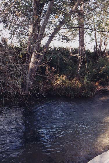 Una fotografía del río Ganjites, cerca de Filipos, colonia romana, en la antigua Macedonia, lugar donde se bautizaron Lidia y su familia, como también el carcelero de Filipos y su familia. 