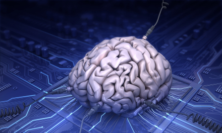 Esta gráfica de un cerebro humano que descansa sobre una maya de conexiones digitales ilustra El increíblemente asombroso cerebro humano, en editoriallapaz.