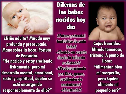 Dilemams of babies being born today, one of a series of slides in Spanish, this one illustrating the Shappley Report for September, 2014.