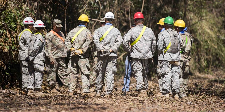 Algunos de los 1,500 miembros de los Reservistas Militares ocupados en Puerto Rico en la limpieza de carreteras y caminos. ¿Estarán consultándose sobre cómo sacar todo ese bambú de las vías obstruidas? Some of the 1,500 military Reservists occupied in Puerto Rico in clearing the highways and roads. Would they being consulting each other about how best to remove all that bamboo obstructing traffic?
