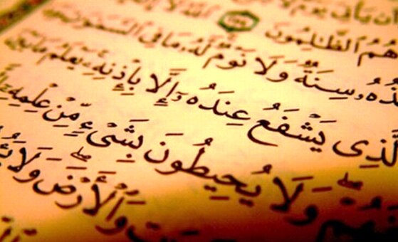 See the source image